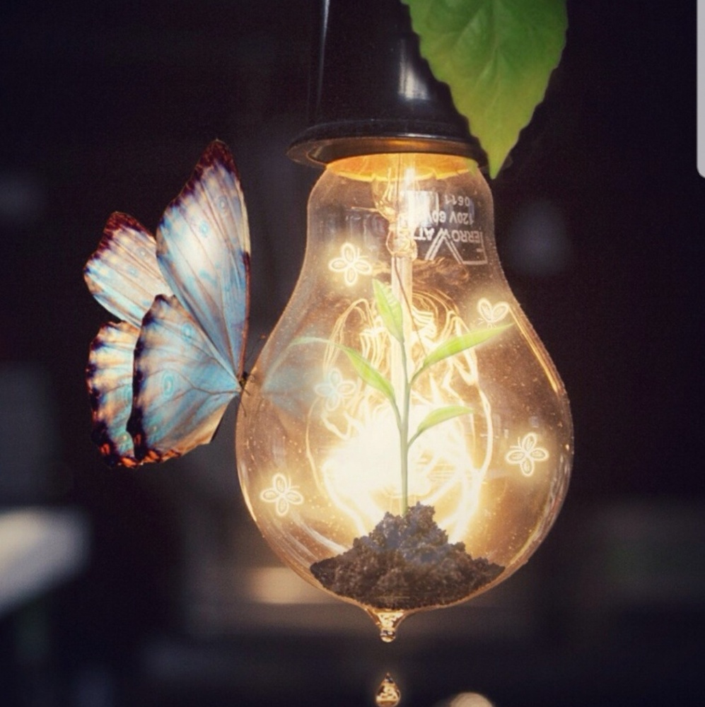 Meet your Posher, Natosha